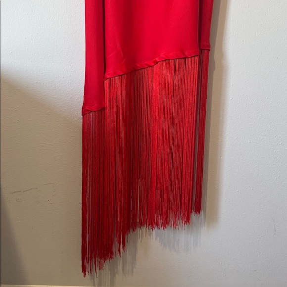 Eloquii Red High Low Fringe Dress - Picture 3 of 9